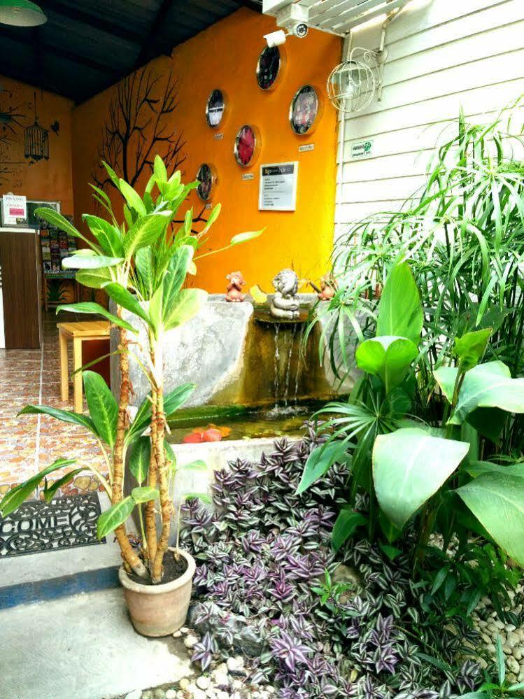 Yin Yang Guesthouse チエンマイ エクステリア 写真